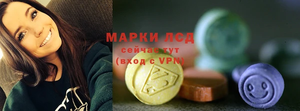 индика Медногорск