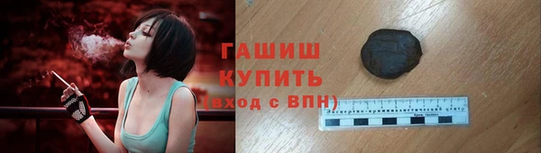 индика Медногорск