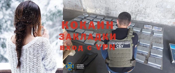индика Медногорск