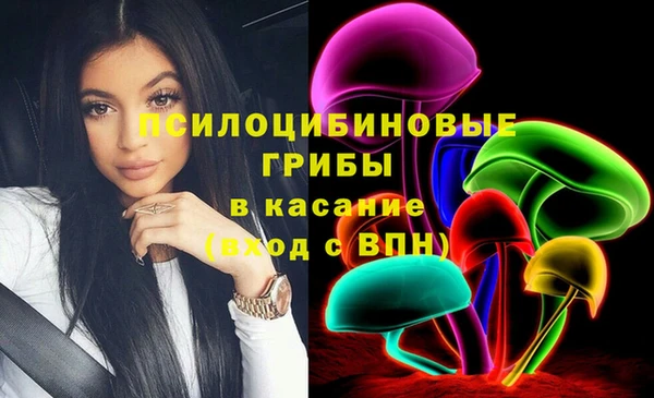 индика Медногорск