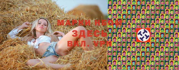 твердый Новодвинск