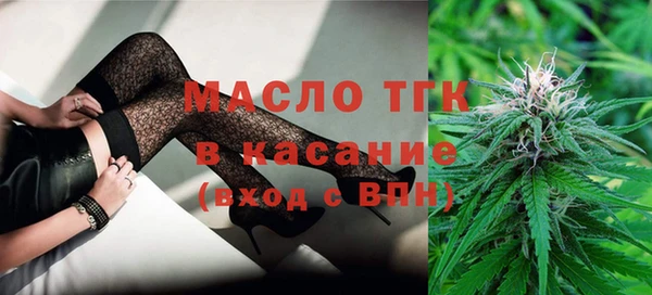 индика Медногорск