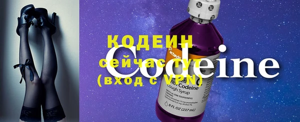индика Медногорск
