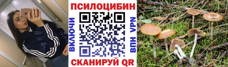цена Тотьма Галлюциногенные грибы мухоморы
